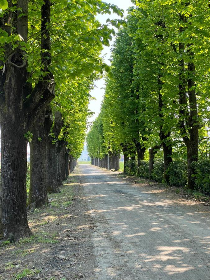 Tenuta Pizzone Wine Resort Rivanazzano Terme Dış mekan fotoğraf