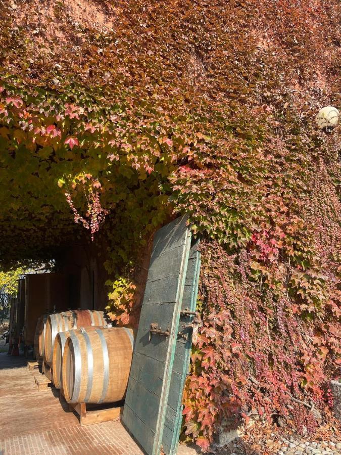 Tenuta Pizzone Wine Resort Rivanazzano Terme Dış mekan fotoğraf